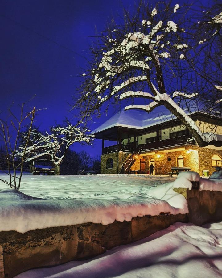 Casa Mesterului Sohodol  Exteriör bild