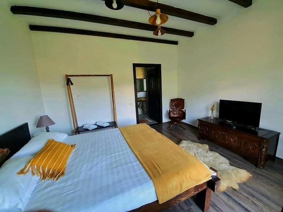 Casa Mesterului Sohodol  Exteriör bild