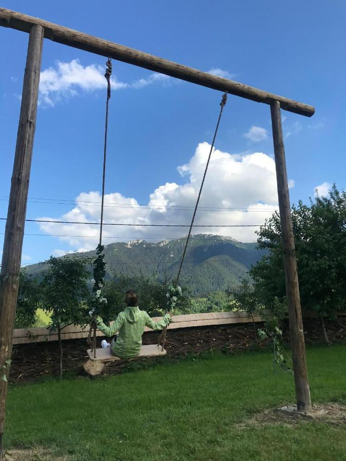 Casa Mesterului Sohodol  Exteriör bild