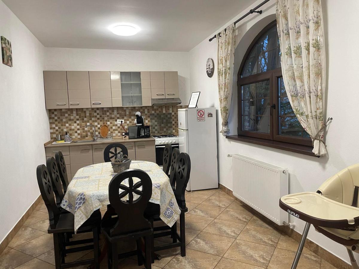 Casa Mesterului Sohodol  Exteriör bild